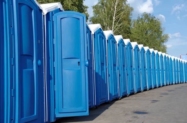 Best Affordable porta potty rental  in Wanamingo, MN